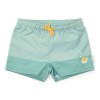 Groene zwemshort met kogelvisje - Swim trunks seashells surf blue